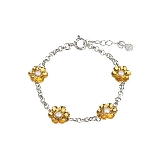 دستبند گلستان